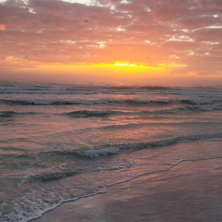 Siesta Key Condo - On The Water ! Dış mekan fotoğraf