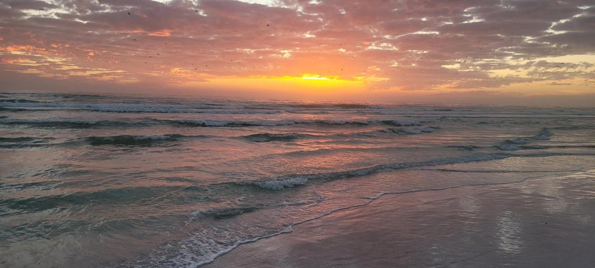 Siesta Key Condo - On The Water ! Dış mekan fotoğraf