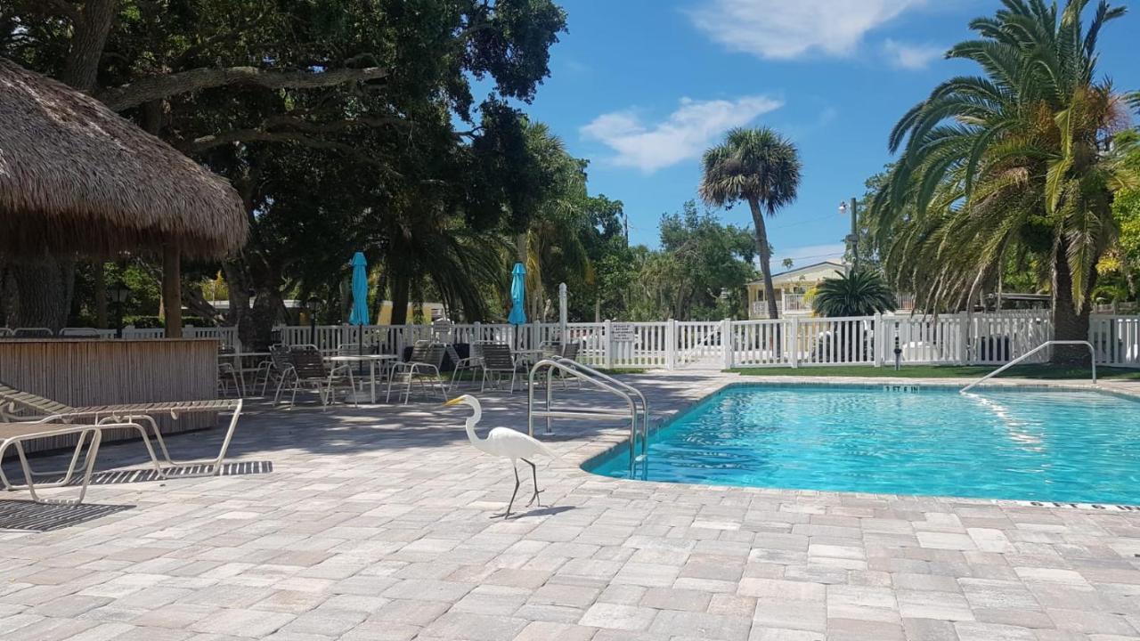 Siesta Key Condo - On The Water ! Dış mekan fotoğraf
